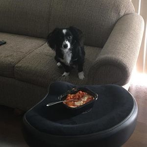 Meet your Posher, Jojo